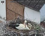 Capi_Dubne_20250511_185003.jpg