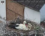 Capi_Dubne_20250511_185502.jpg