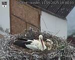 Capi_Dubne_20250511_190003.jpg