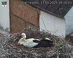 Capi_Dubne_20250511_191003.jpg