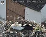 Capi_Dubne_20250511_192003.jpg