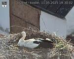 Capi_Dubne_20250511_193002.jpg