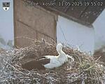 Capi_Dubne_20250511_195502.jpg