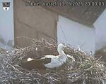 Capi_Dubne_20250511_200003.jpg