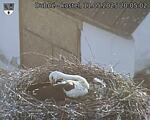 Capi_Dubne_20250511_200502.jpg