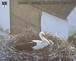 Capi_Dubne_20250511_201002.jpg
