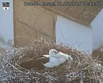 Capi_Dubne_20250511_201502.jpg