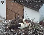 Capi_Dubne_20250511_203003.jpg