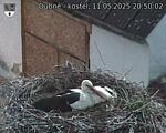 Capi_Dubne_20250511_205002.jpg