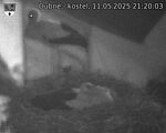 Capi_Dubne_20250511_212003.jpg