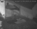 Capi_Dubne_20250511_212502.jpg