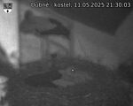 Capi_Dubne_20250511_213003.jpg