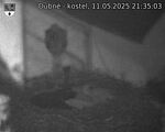 Capi_Dubne_20250511_213503.jpg