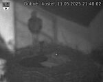 Capi_Dubne_20250511_214002.jpg