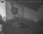 Capi_Dubne_20250511_221503.jpg