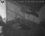 Capi_Dubne_20250511_222003.jpg