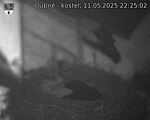 Capi_Dubne_20250511_222502.jpg