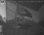 Capi_Dubne_20250511_233002.jpg