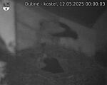 Capi_Dubne_20250512_000003.jpg