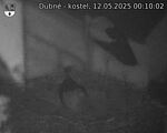 Capi_Dubne_20250512_001002.jpg