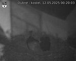 Capi_Dubne_20250512_002003.jpg