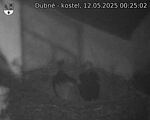 Capi_Dubne_20250512_002502.jpg