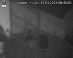 Capi_Dubne_20250512_004502.jpg