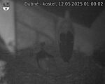 Capi_Dubne_20250512_010002.jpg