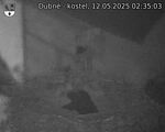 Capi_Dubne_20250512_023503.jpg