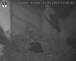 Capi_Dubne_20250512_034502.jpg