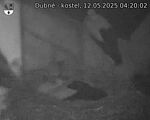 Capi_Dubne_20250512_042002.jpg