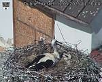 Capi_Dubne_20250512_113004.jpg