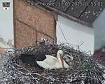 Capi_Dubne_20250512_115502.jpg