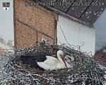 Capi_Dubne_20250512_120004.jpg