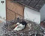 Capi_Dubne_20250512_122502.jpg