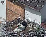 Capi_Dubne_20250512_123003.jpg