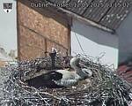 Capi_Dubne_20250512_131502.jpg