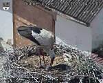 Capi_Dubne_20250512_145502.jpg