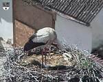 Capi_Dubne_20250512_151503.jpg