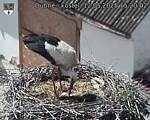 Capi_Dubne_20250512_152002.jpg