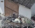 Capi_Dubne_20250512_153502.jpg