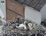 Capi_Dubne_20250512_154003.jpg