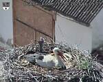 Capi_Dubne_20250512_160503.jpg