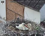 Capi_Dubne_20250512_164002.jpg