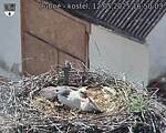 Capi_Dubne_20250512_165003.jpg