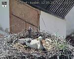 Capi_Dubne_20250512_170003.jpg