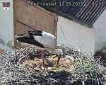 Capi_Dubne_20250512_170502.jpg