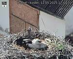 Capi_Dubne_20250512_171002.jpg