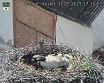 Capi_Dubne_20250512_171503.jpg
