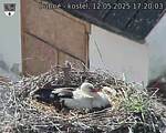 Capi_Dubne_20250512_172003.jpg
